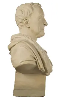 Bust of Carl Linnaeus