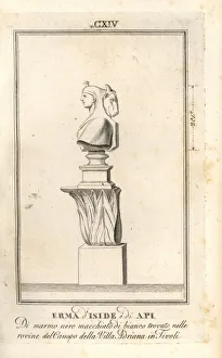Apis Gallery: Bust of Egyptian goddess Isis and bull deity Apis
