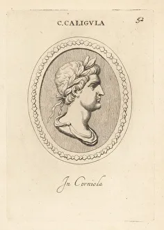 Carnelian Prints: Bust of Gaius Caesar Augustus Germanicus or Caligula