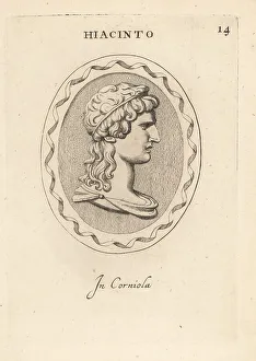 Carnelian Prints: Bust of Hyacinthus, divine hero and lover of Apollo