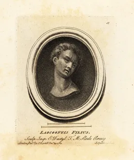 Bust of one of Laocoon's sons