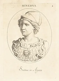 Wisdom Prints: Bust of Minerva, Roman goddess of wisdom