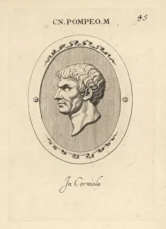 Carnelian Prints: Bust of Pompey the Great, Roman general