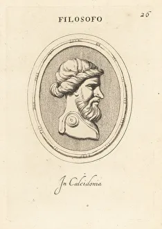 Chalcedony Prints: Bust of an unknown Classical bearded philosopher