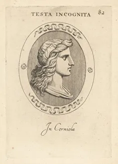 Carnelian Prints: Bust of an unknown woman