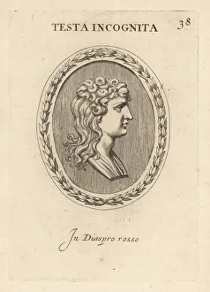 Leonardo Agostini Prints: Bust of an unknown woman with hair in curls
