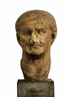 Bust Collection: Bust of Vespasian