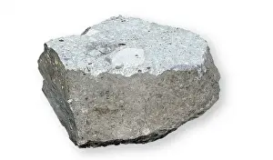 Stone Meteorite Prints: The Bustee aubrite