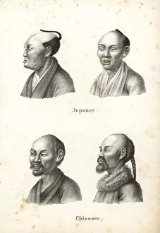 Ethnography Collection: Busts of Japanese and Chinese men