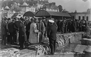 Busy Day at Torquay Fish Market