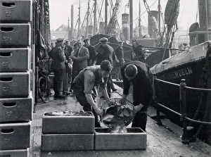 Shot Prints: A busy early morning scene by the quayside at Grimsby