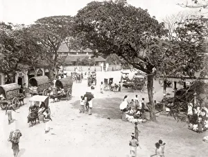 Busy street scene with bullock carts, India, c. 1880 s