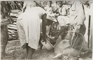 Bowl Prints: Butchering an animal at Bacalar, British Honduras