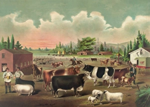 Farmer and Pig