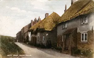Dorset Prints: Butt Lane, Bere Regis, Dorset