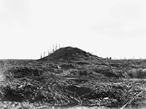 Polygon Prints: The Butt, Polygon Wood