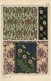 Andtheirapplicationtoornament Collection: Buttercup in art nouveau patterns