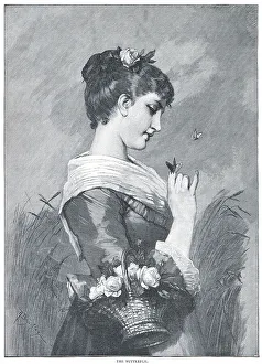 The Butterfly