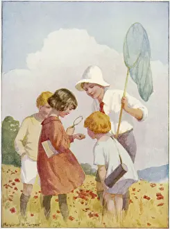 BUTTERFLY CATCHING
