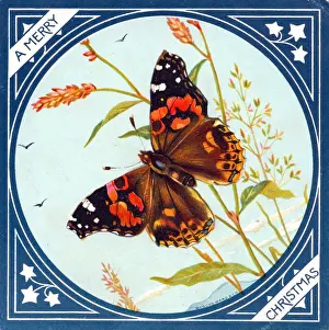 Cornfield Prints: Butterfly on a Christmas card