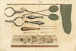 Pins Gallery: Butterfly collector tools, 19th century