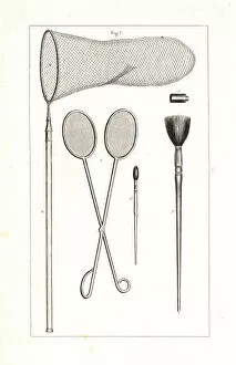 Butterfly collectors tools