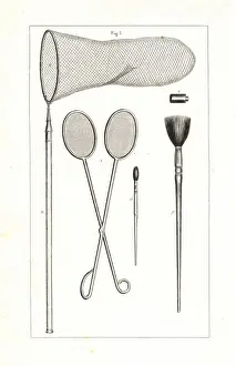 Naturelle Prints: Butterfly collectors tools