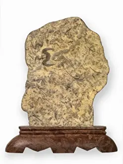 Butterfly stone Hu-die-shih trilobites