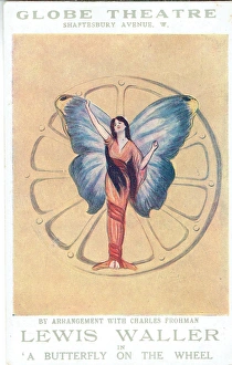 Hammond Collection: A Butterfly on the Wheel by Edward G. Hammond and F Nelson