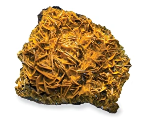 North America Gallery: Butterscotch wulfenite