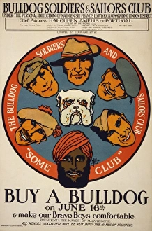 Buy a bulldog on June 16th & make our brave boys more comfor Buy a bulldog on June 16th & make our brave boys more comfor
