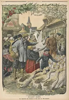 Turkeys Prints: Buying the Goose