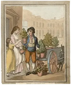 Buying a Plant