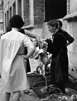 Gerona Prints: Buying Rabbit Trade Markets Spain 1950s Old Women