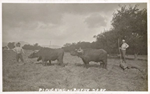 Images Dated 6th April 2011: Buyukdere - Village by Bosphorous - Ploughing