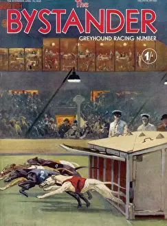 Spectators Prints: Bystander Greyhound Racing Number