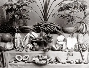 c. 1880 South East Asia - fruits native to Singapore