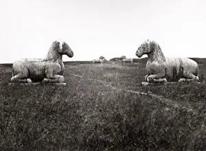 c. 1880s China - stone animals Ming Tombs