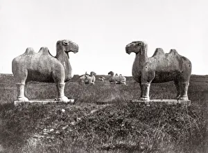 c. 1880s China - stone animals Ming Tombs