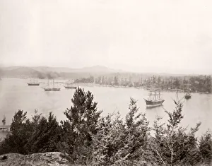 Territory Prints: c. 1880s Cole Island, Magazine Island, Esquimalt, BC Canada