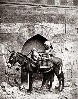 c. 1880s Egypt Cairo - man and his transport donkey