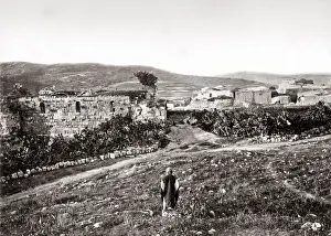 c. 1880s Holy Land Palestine Israel - Samaria - Bonfils studio