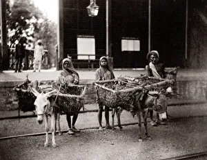 c. 1880s India- donkey carts with panniers and load c. 1880s India- donkey carts with panniers and load