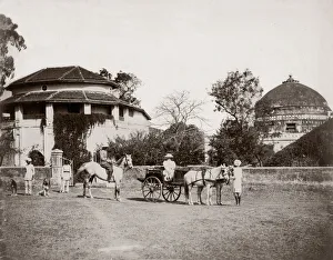 c. 1880s India - European couple with pony and trap, horse an
