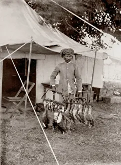 c. 1880s India - game birds after a day of shooting