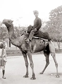 c. 1880s India - man in a turban riding on a camel