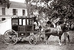 c. 1880s India - pony hackney carriage with driver