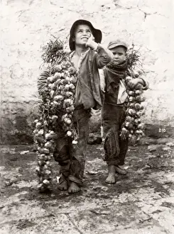 c. 1880s Italy - Italy, probably Sicily street vendors, boys