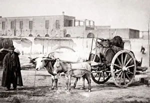 c. 1880s Italy - man with ox cart and wine barrels