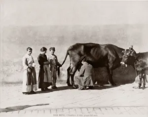 Customers Prints: c. 1880s Italy - milking cow in street, customers queueing